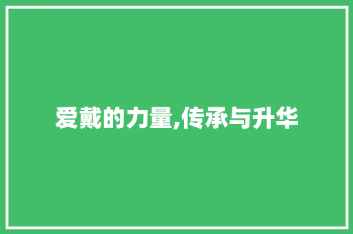 爱戴的力量,传承与升华