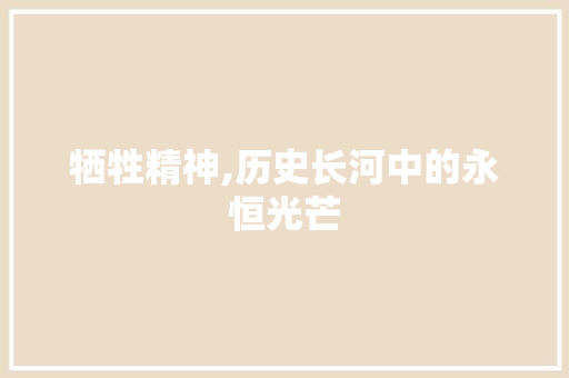 牺牲精神,历史长河中的永恒光芒