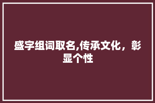 盛字组词取名,传承文化，彰显个性