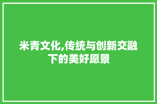 米青文化,传统与创新交融下的美好愿景