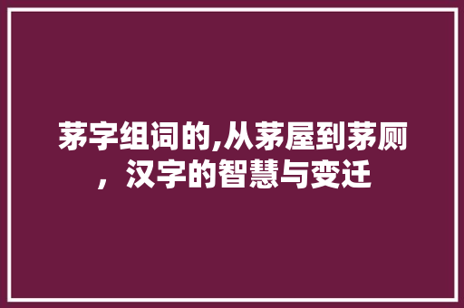茅字组词的,从茅屋到茅厕，汉字的智慧与变迁