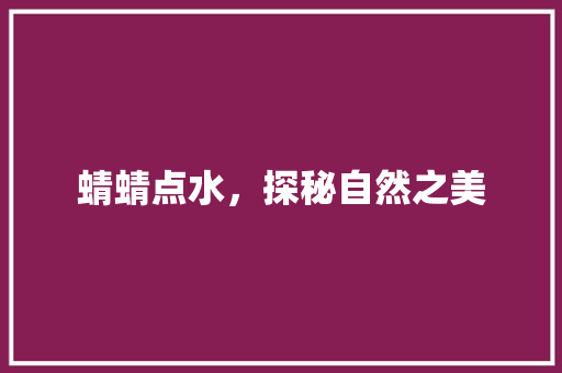 蜻蜻点水，探秘自然之美