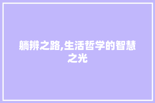 躺辨之路,生活哲学的智慧之光