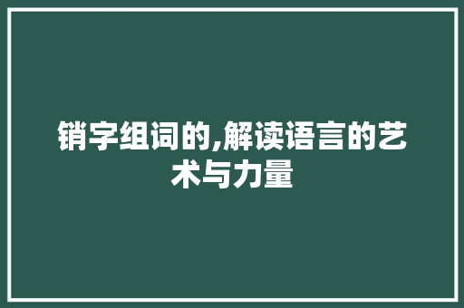 销字组词的,解读语言的艺术与力量