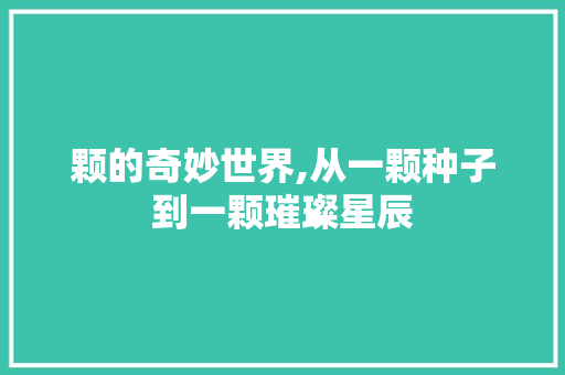 颗的奇妙世界,从一颗种子到一颗璀璨星辰