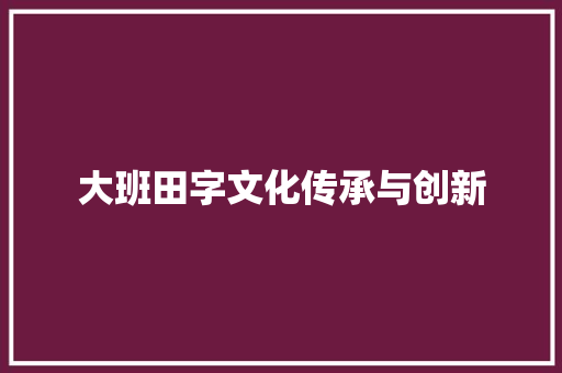 大班田字文化传承与创新