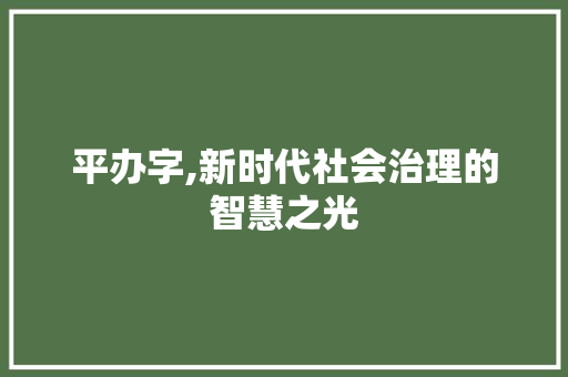 平办字,新时代社会治理的智慧之光