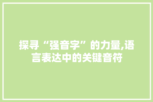 探寻“强音字”的力量,语言表达中的关键音符