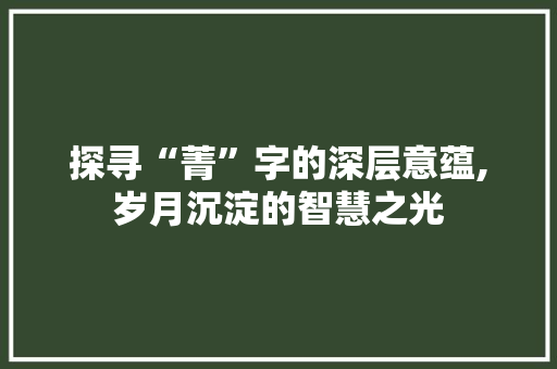 探寻“菁”字的深层意蕴,岁月沉淀的智慧之光