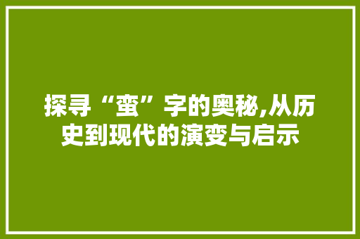 探寻“蛮”字的奥秘,从历史到现代的演变与启示