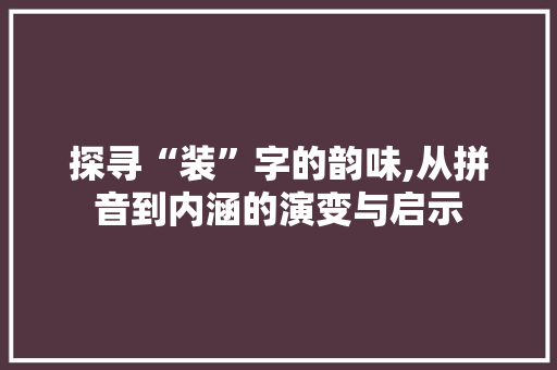 探寻“装”字的韵味,从拼音到内涵的演变与启示