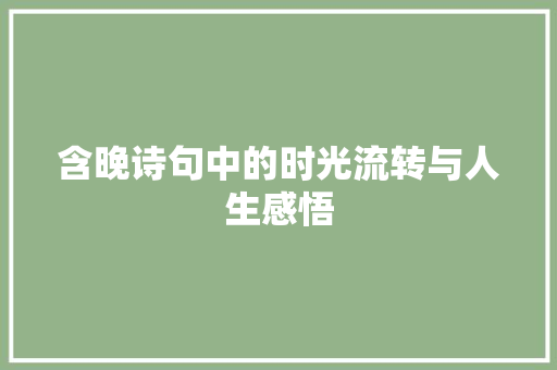 含晚诗句中的时光流转与人生感悟