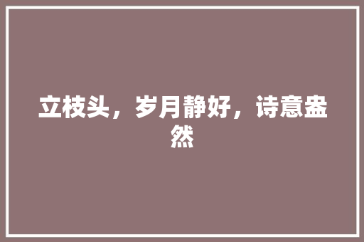 立枝头，岁月静好，诗意盎然