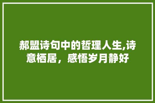 郝盟诗句中的哲理人生,诗意栖居，感悟岁月静好