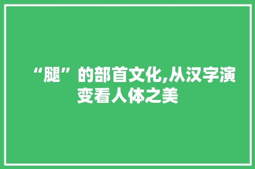 “腿”的部首文化,从汉字演变看人体之美 职场应用