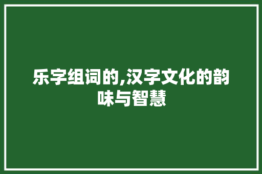 乐字组词的,汉字文化的韵味与智慧 商业计划书范文