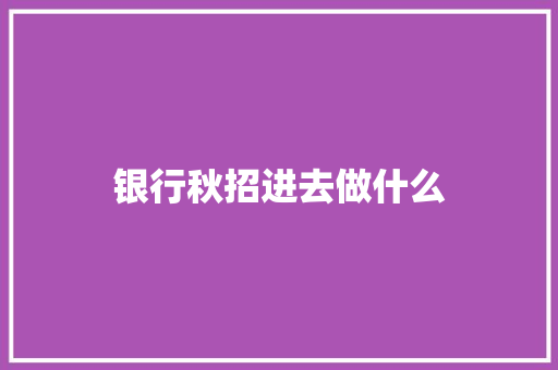 银行秋招进去做什么