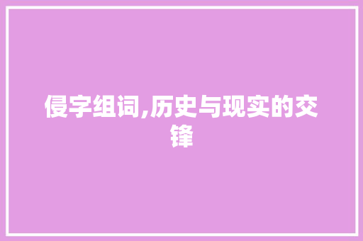 侵字组词,历史与现实的交锋 范文精选网