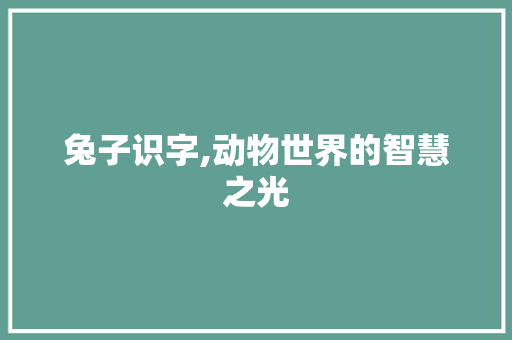 兔子识字,动物世界的智慧之光