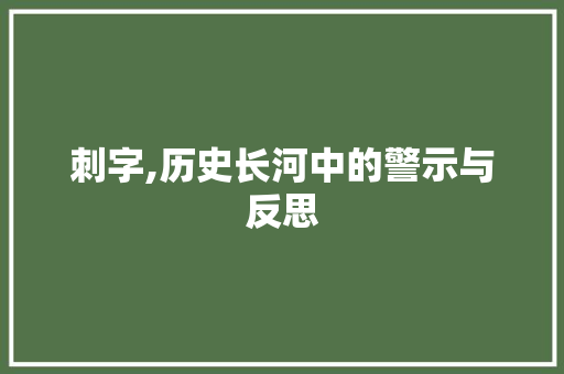 刺字,历史长河中的警示与反思 商业计划书范文