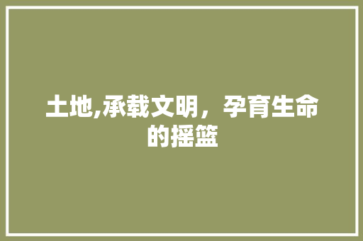土地,承载文明，孕育生命的摇篮 商业计划书范文