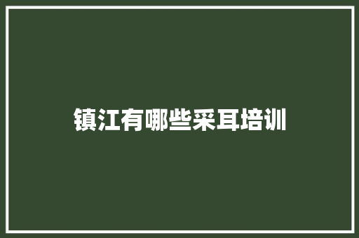 镇江有哪些采耳培训