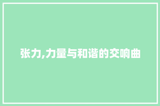 张力,力量与和谐的交响曲