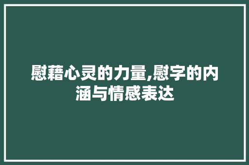 慰藉心灵的力量,慰字的内涵与情感表达