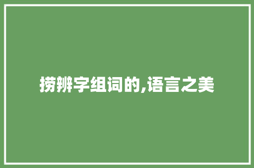 捞辨字组词的,语言之美