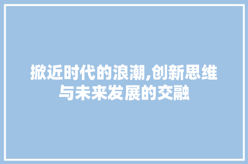 掀近时代的浪潮,创新思维与未来发展的交融