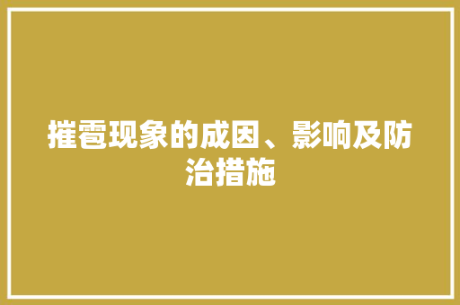 摧雹现象的成因、影响及防治措施