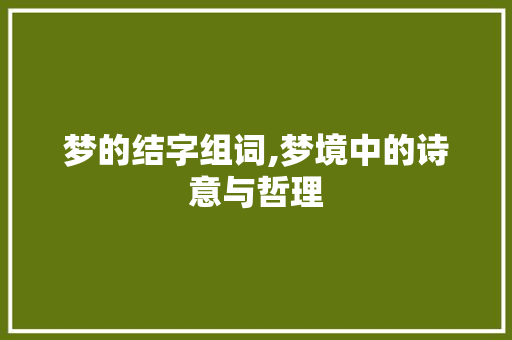 梦的结字组词,梦境中的诗意与哲理
