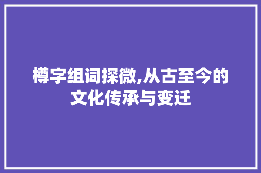 樽字组词探微,从古至今的文化传承与变迁