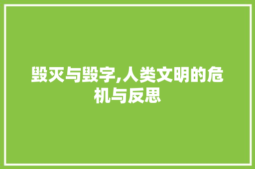 毁灭与毁字,人类文明的危机与反思