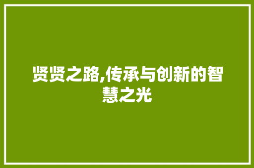 贤贤之路,传承与创新的智慧之光