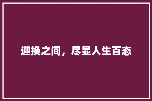 迎换之间，尽显人生百态