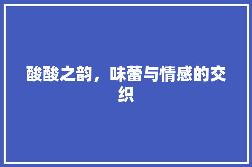 酸酸之韵，味蕾与情感的交织