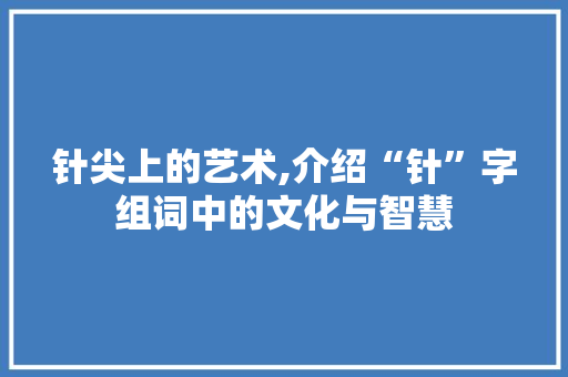 针尖上的艺术,介绍“针”字组词中的文化与智慧