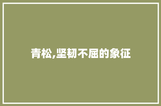 青松,坚韧不屈的象征
