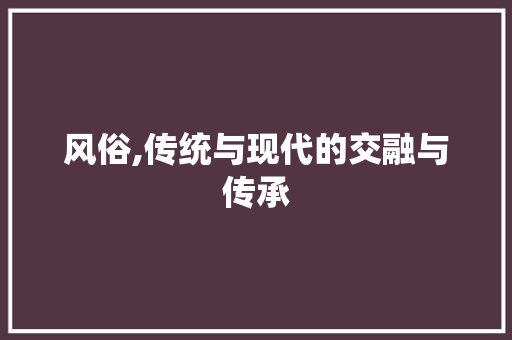 风俗,传统与现代的交融与传承