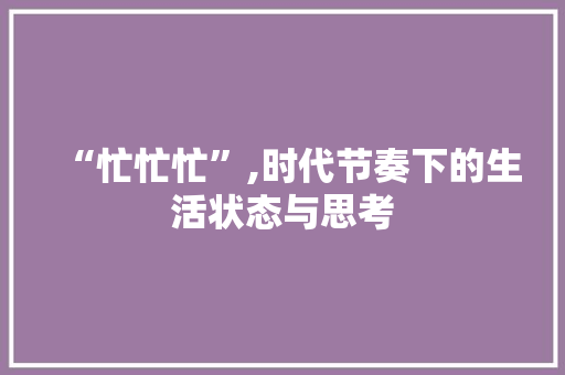 “忙忙忙”,时代节奏下的生活状态与思考