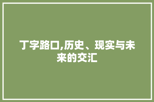 丁字路口,历史、现实与未来的交汇