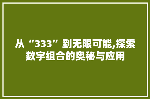 从“333”到无限可能,探索数字组合的奥秘与应用