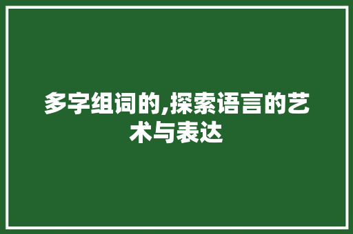 多字组词的,探索语言的艺术与表达