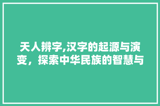 天人辨字,汉字的起源与演变，探索中华民族的智慧与文化底蕴