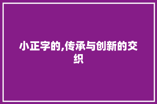 小正字的,传承与创新的交织