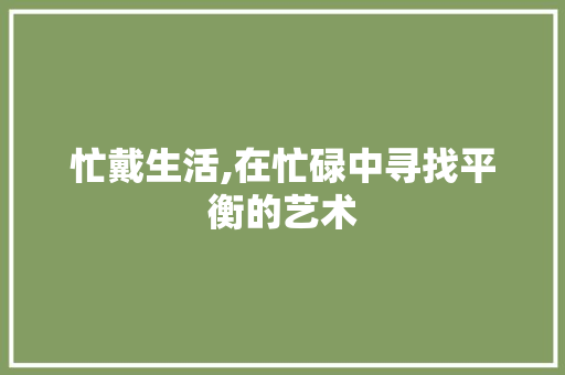 忙戴生活,在忙碌中寻找平衡的艺术
