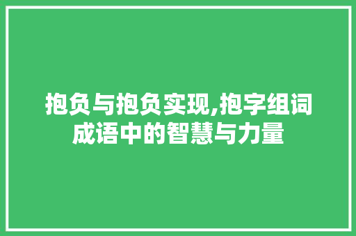 抱负与抱负实现,抱字组词成语中的智慧与力量