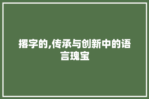 撂字的,传承与创新中的语言瑰宝