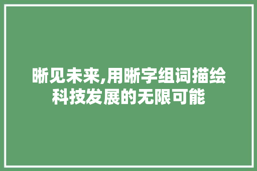 晰见未来,用晰字组词描绘科技发展的无限可能